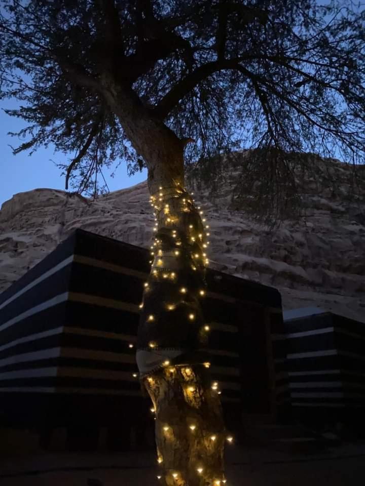 Shahrazad Desert, 瓦迪拉姆 外观 照片